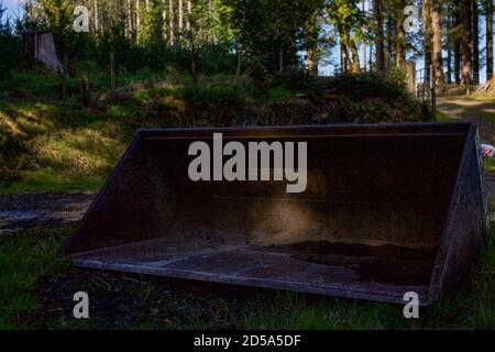 Benna del trattore in un terreno boscoso Foto Stock
