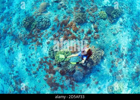 Felice vacanza in famiglia. Uomo in maschera snorkeling con fotocamera immersione subacquea con pesci tropicali in corallo barriera piscina mare. Stile di vita di viaggio, sport acquatici Foto Stock