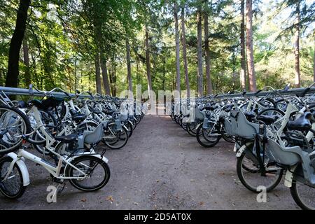 Parcheggio per biciclette all'ingresso del Parco Nazionale De Hoge Veluwe e del Museo Kröller-Müller vicino al villaggio di Otterlo nei Paesi Bassi. Foto Stock