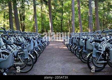 Parcheggio per biciclette all'ingresso del Parco Nazionale De Hoge Veluwe e del Museo Kröller-Müller vicino al villaggio di Otterlo nei Paesi Bassi. Foto Stock