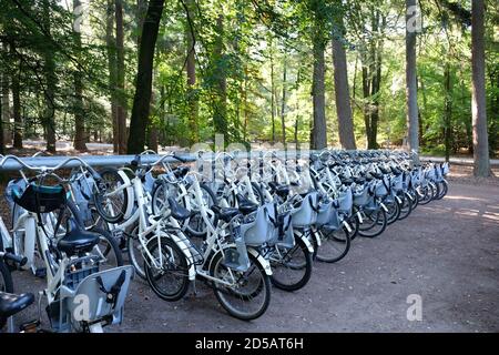 Parcheggio per biciclette all'ingresso del Parco Nazionale De Hoge Veluwe e del Museo Kröller-Müller vicino al villaggio di Otterlo nei Paesi Bassi. Foto Stock