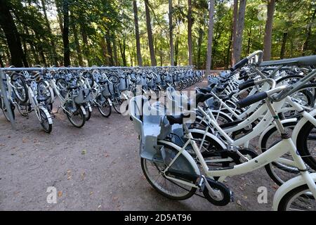 Parcheggio per biciclette all'ingresso del Parco Nazionale De Hoge Veluwe e del Museo Kröller-Müller vicino al villaggio di Otterlo nei Paesi Bassi. Foto Stock