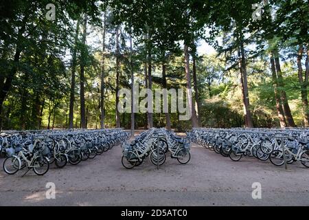 Parcheggio per biciclette all'ingresso del Parco Nazionale De Hoge Veluwe e del Museo Kröller-Müller vicino al villaggio di Otterlo nei Paesi Bassi. Foto Stock