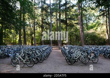 Parcheggio per biciclette all'ingresso del Parco Nazionale De Hoge Veluwe e del Museo Kröller-Müller vicino al villaggio di Otterlo nei Paesi Bassi. Foto Stock