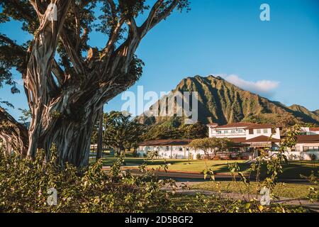 Splendida vista del parco del distretto di Kaneohe con il famoso Haiku scale sullo sfondo Foto Stock