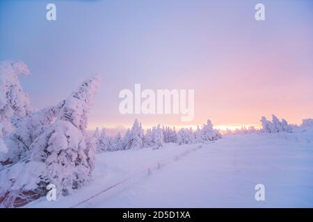 Inverno sul Brocken. Alba, il sole che sorge illumina sia le nuvole che gli alberi innevati. L'orizzonte è parzialmente illuminato di rosso intenso. Foto Stock