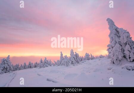 Inverno sul Brocken. Alba, il sole che sorge illumina sia le nuvole che gli alberi innevati. L'orizzonte è parzialmente illuminato di rosso intenso. Foto Stock