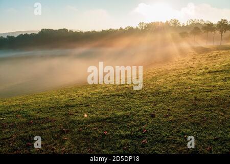 Il sole caldo splende attraverso la nebbia del terreno al mattino su un prato collinare. Foto Stock