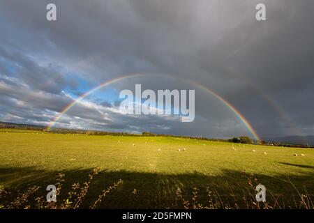 Croftamie, Stirlingshire, Scozia, Regno Unito. 13 ottobre 2020. UK Weather - Double rainbow during a short sharp shower in Croftamie, Stirlingshire, Scotland Credit: Kay Roxby/Alamy Live News Foto Stock