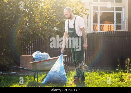 Il giardiniere in uniforme verde raccoglie i sacchetti delle foglie e li mette nel carrello. Il sole splende dalla cima. Abbagliamento da sole. Foto Stock