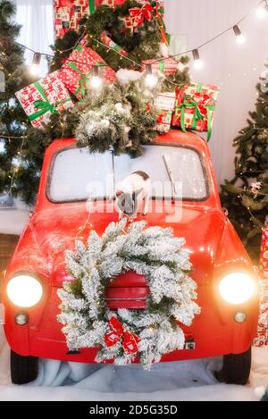 Un piccolo maiale fatto in casa su un'auto retrò rossa decorata con rami di alberi di Natale, ghirlande, scatole regalo in bianco-verde colori che avvolgono la carta, Foto Stock