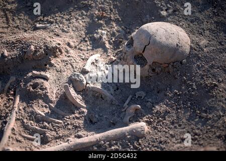 La Serbia, Settembre 27, 2019: resti umani dal periodo romano scoperto durante gli scavi archeologici di Vinča Foto Stock