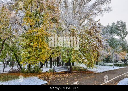 Prima nevicata in un luminoso e colorato parco cittadino in autunno. Panca solitaria sul vicolo sotto gli alberi branchi con oro, verde, arancio fogliame bianco neve copertura Foto Stock