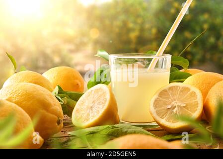 Spremuta fresca su un tavolo di legno pieno di limoni con alberi di limone sullo sfondo e la luce del sole. Vista frontale. Composizione orizzontale. Foto Stock