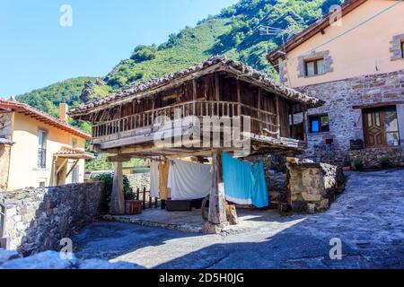 Horreo, costruzione tradizionale utilizzata per immagazzinare cibo e altri prodotti, nel villaggio di Villar de Vildas, Somiedo Parco Naturale. Asturie. Spagna Foto Stock
