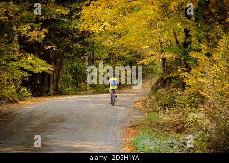 Maple-fianched dirt Road a Craftsbury, VT, nel Regno del Nord-Est del Vermont, New England, USA. Foto Stock