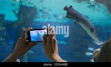 La donna prende la foto in oceanarium. Tecnologia e concetto di intrattenimento Foto Stock