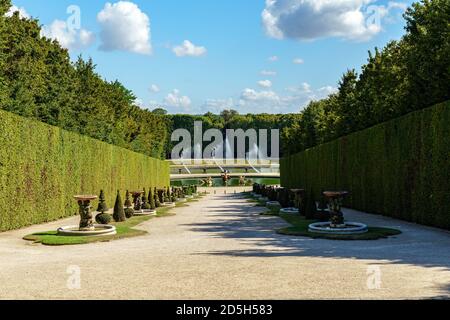 I Marmousets camminano con le fontane del Drago e del Nettuno nei Giardini di Versailles - Francia Foto Stock