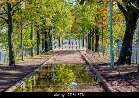 Parigini jogging e passeggiate a ile aux Cygnes Foto Stock