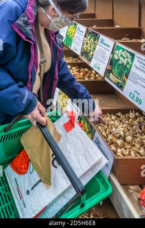 Donna che acquista bulbi primaverili in un centro giardino, indossando una maschera facciale durante la pandemia del coronavirus 2020 COVID-19. Foto Stock