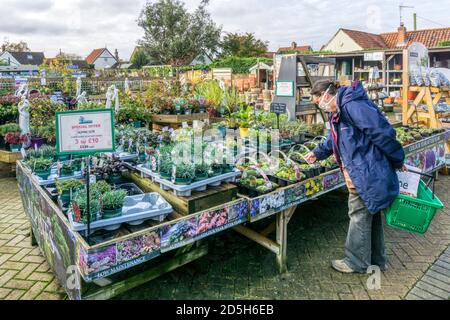 Donna che acquista in un centro giardino, indossando una maschera durante la pandemia del coronavirus 2020 COVID-19. Foto Stock