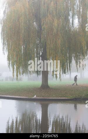 Passeggiate a Sanders Park, Bromsgrove in una giornata foggosa d'autunno Foto Stock