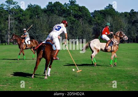 Polo Match - Plant City - Florida Polo, gioco giocato a cavallo tra due squadre di quattro giocatori ciascuno che utilizzano mallet con lunghe maniglie flessibili t Foto Stock