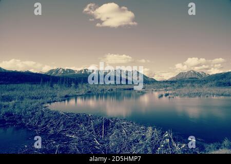 Vista della natura selvaggia dell'Alaska: Montagne, fiume, diga di Beaver e riflessione in un laghetto Foto Stock