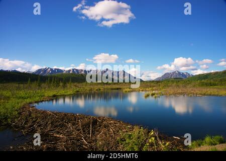 Vista della natura selvaggia dell'Alaska: Montagne, fiume, diga di Beaver e riflessione in un laghetto Foto Stock