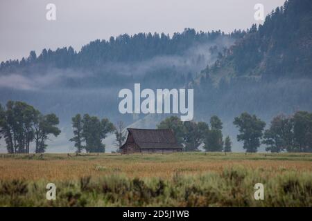 Il vecchio fienile di log sul T.A. Casa di Molton su Mormon Row nel Grand Teton National Park con Blacktail Butte dietro. Wyoming, Stati Uniti. Foto Stock