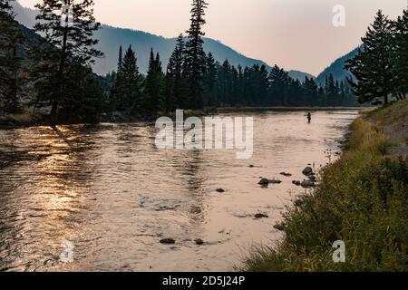 Una donna pesca a mosca sul fiume Madison nel Parco Nazionale di Yellowstone nel Wyoming. Foto Stock