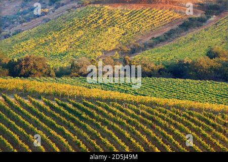 Cile, Sud America Foto Stock