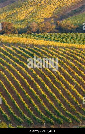 Cile, Sud America Foto Stock