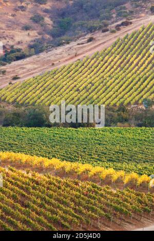 Cile, Sud America Foto Stock