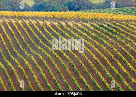 Cile, Sud America Foto Stock