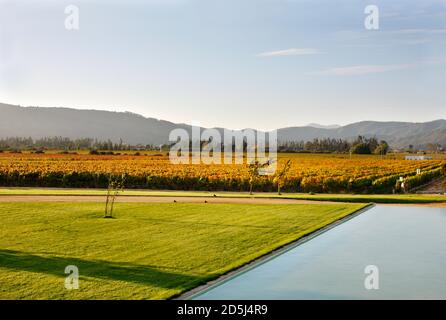 Cile, Sud America Foto Stock