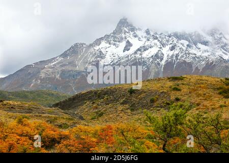 Cile, Sud America Foto Stock