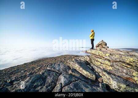 Sulla cima di Sokosti cadde nel Parco Nazionale UKK, Lapponia, Finlandia Foto Stock