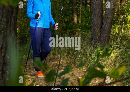 donne con bastoni nella foresta autunnale che fanno nordic walking. donne che camminano nel parco autunnale con bastoni scandinavi. Foto Stock
