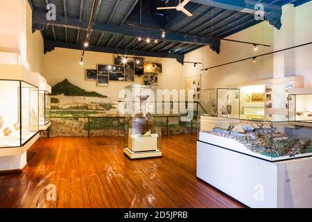 La galleria della cultura amazzonica, 'Museo Nazionale di Archeologia, Antropologia e Storia del Perù', Lima, Perù, Sud America Foto Stock