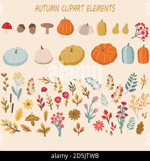 Set autunno, elementi disegnati a mano, foglie di caduta, zucche e altro. Illustrazione Vettoriale