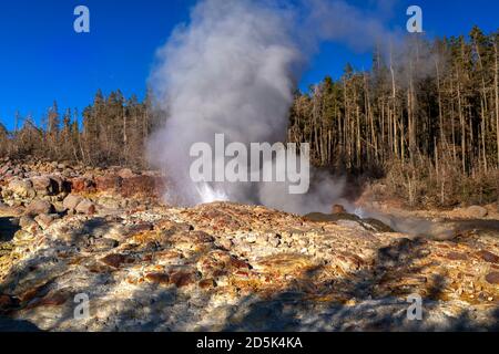 Steamboat Geyser a Back Basin, Yellowstone National Park, Wyoming, Stati Uniti Foto Stock