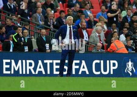 Il palazzo di cristallo manager Alan Pardew Foto Stock