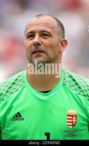 Il portiere ungherese Gabor Kiraly Foto Stock