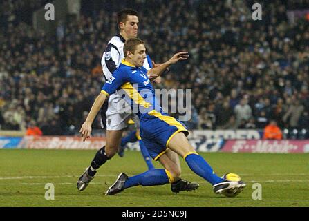 Darren carter di West Bromwich Albion e Michael Dawson di Tottenham Hotspurs Foto Stock