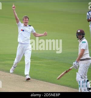 Steven Patterson dello Yorkshire (a sinistra) festeggia dopo aver preso il wicket del Dominic Sibley del Surrey (a destra). Foto Stock