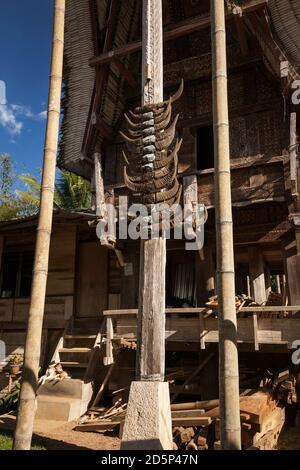 Vista verticale di alcune corna di bufalo appese su un palo all'ingresso di un tongkonan, casa tradizionale ancestrale Torajan, Sulawesi, Indonesia Foto Stock