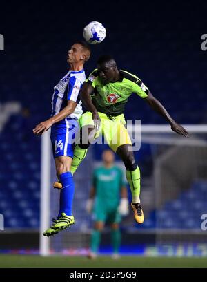 Steve Sidwell di Brighton & Hove Albion combatte per la palla in aria con Joseph Mendes di Reading (a destra) Foto Stock