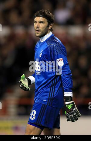 Il Nottingham Forest portiere Vladimir Stojkovic Foto Stock