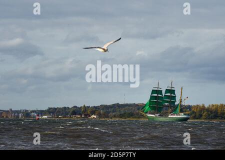 Laboe, Germania. 14 ottobre 2020. Il tre-maestro 'Alexander von Humboldt 2' naviga oltre la costa vicino al comune di Laboe al suo ritorno dalla sua prima crociera di addestramento navale. Poi il barque, che sta attualmente sostituendo il 'Gorch Fock' come nave da addestramento della marina, ormeggiata a Kiel. Credit: Gregor Fischer/dpa/Alamy Live News Foto Stock